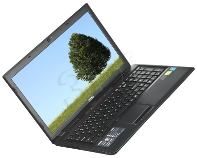 MSI GP60 2OD-058XPL i5-4200M 8GB 15,6 1TB GT740 BSY