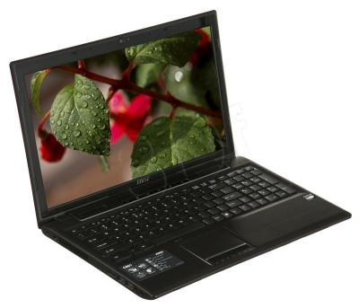 MSI CR61 3M-013XPL E1-2100 4GB 15,6 500GB UMA BSY