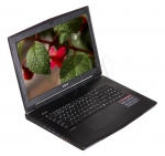 MSI GT72 2PC-076XPL i7-4710HQ 16 17,3 1+128 870 DOS