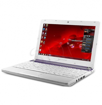 DOTS-C-262G32 N2600 2GB 10.1 320GB INTHD LIN WHITE