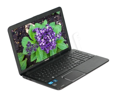 MOBTOSNOT12962