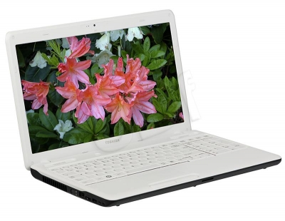 TOSHIBA C660D-1H7 E300 2GB 320GB 15,6 HD6310M NoOS