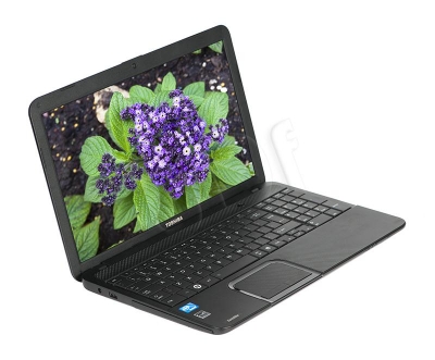 MOBTOSNOT13582