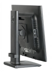 MONHP-L1900254
