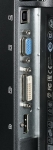 MONHP-L1900256