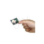 PAMKINCFL00234