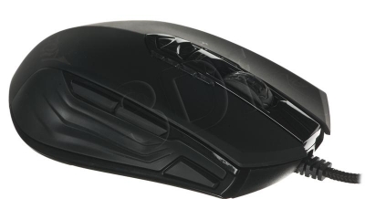 PERGIGMYS00013