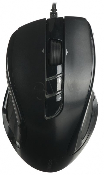 PERGIGMYS00022