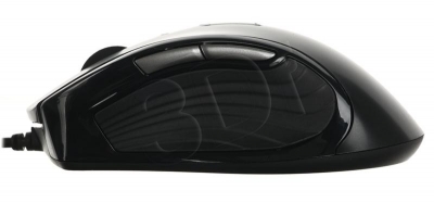 PERGIGMYS00023