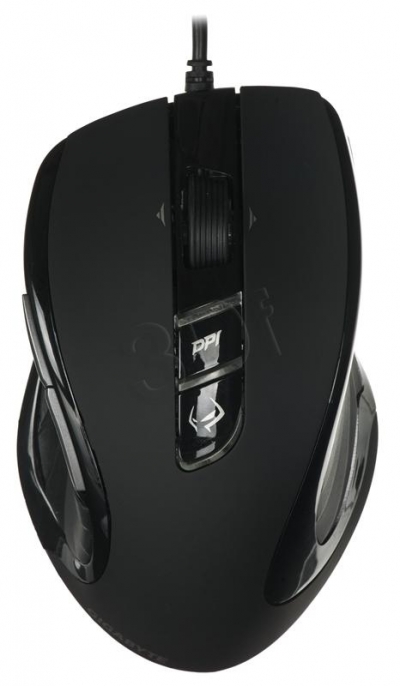 PERGIGMYS00032