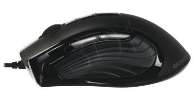 PERGIGMYS00033