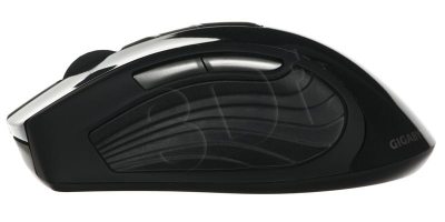 PERGIGMYS00093