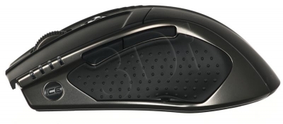 PERGIGMYS00103