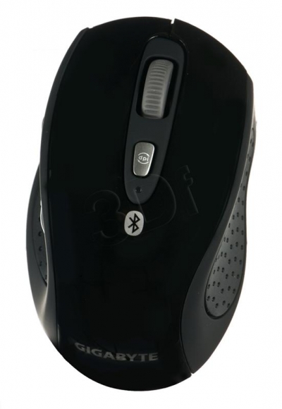 PERGIGMYS00112