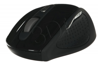 PERGIGMYS00113