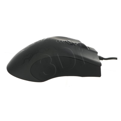 PERGIGMYS00163
