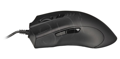 PERGIGMYS00212