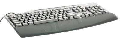 PERLEVKLA00024