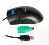 PERLEVMYS00243