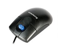 PERLEVMYS00245