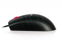 PERLEVMYS00253