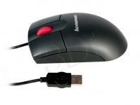 PERLEVMYS00254