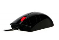 PERLEVMYS00262