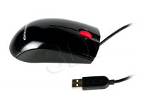 PERLEVMYS00264