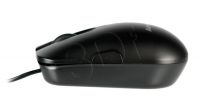 PERLEVMYS00272