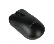 PERLEVMYS00274
