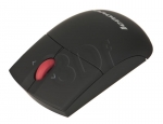 PERLEVMYS00302