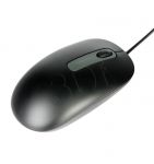 PERMI1MYS00942