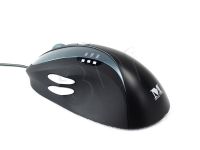 PERMODMYS00355