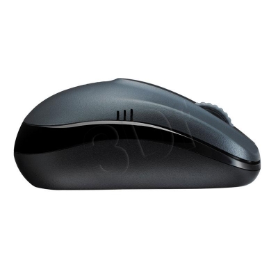 PERRAOMYS00203