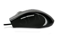 PERREOMYS00235