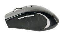 PERREOMYS00246