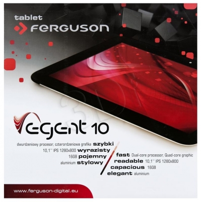 TABFEGTAB00034