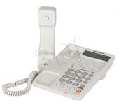 TELPANTSP00013