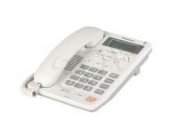 TELPANTSP00093