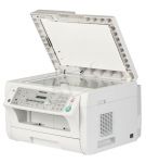 TELPANTSP00174